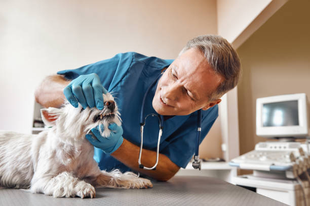 Best Weekend Emergency Dentist in Hopkinsville, KY
