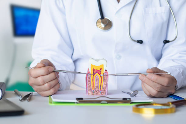 Best Emergency Root Canal Treatment in Hopkinsville, KY